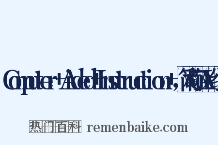 Computer+Aided+Instruction+，简称CAI组词是什么意思的图片